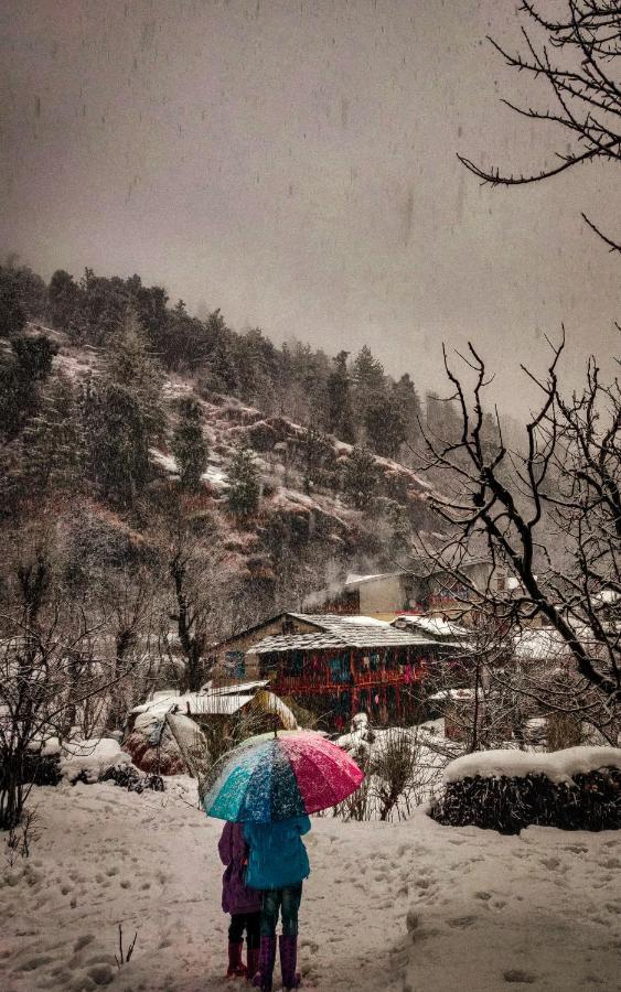 The Hosteller Manali Exterior foto